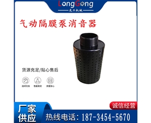 氣動隔膜泵消音器 94810 適用于BQG-350/0.2，BQG-450/0.2機型